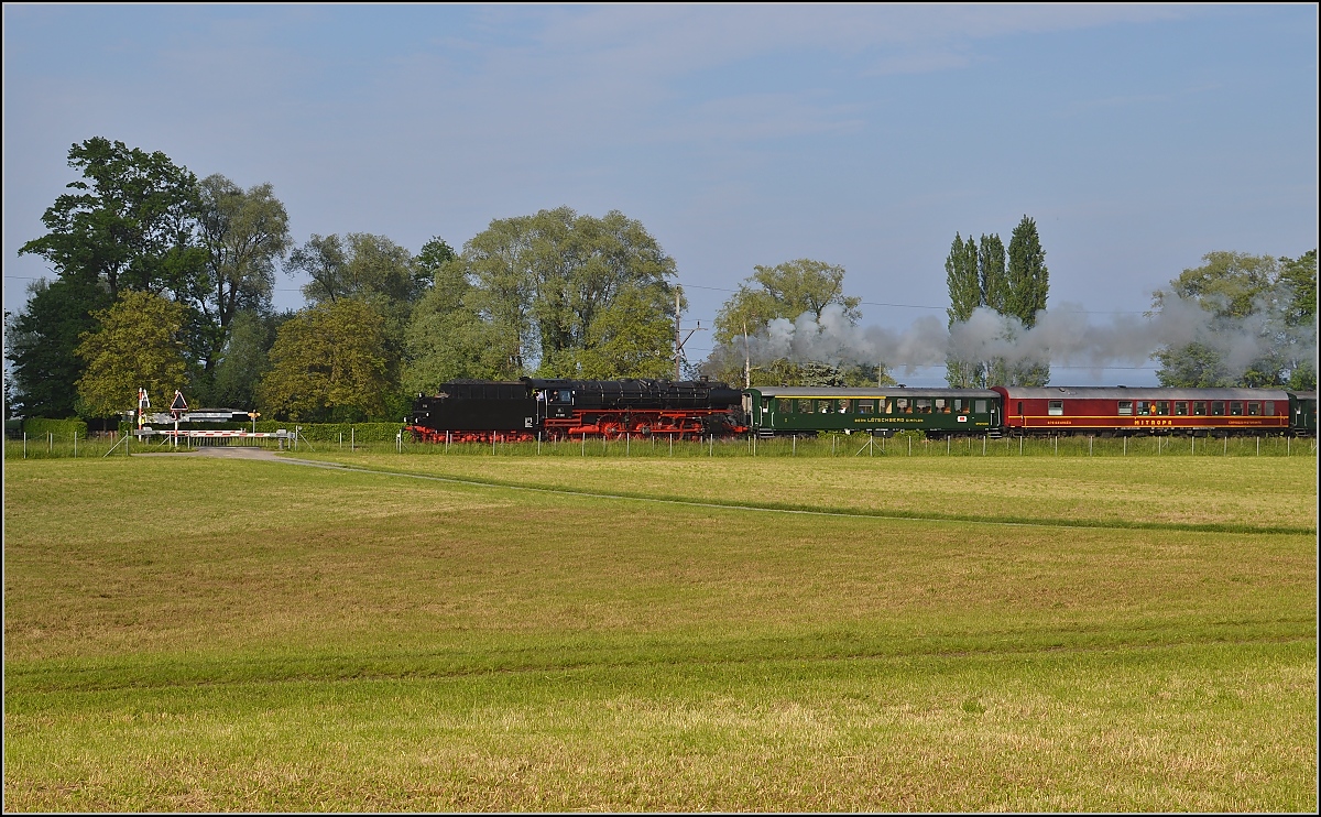 Dampf am Bodensee. 01 202 vor Egnach, whrend sich im Hintergrund der Bodensee fast unsichtbar macht. Mai 2015.