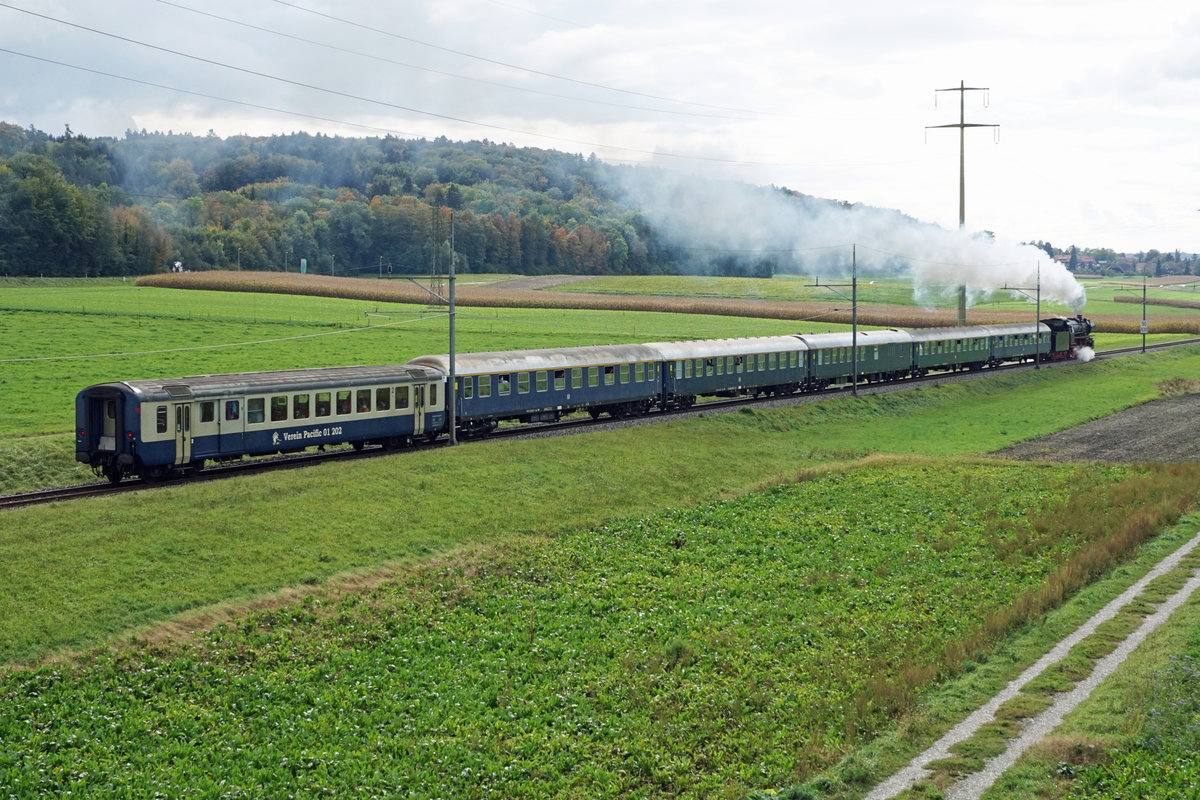 Dampflokomotive Pacific 01 202.
Kleine Dreiseenrundfahrt ab Lyss mit der unermüdlichen 01 202.
Der imposante Sonderzug mit sechs Wagen bei Kallnach am 11. Oktober 2020.
Foto: Walter Ruetsch
 