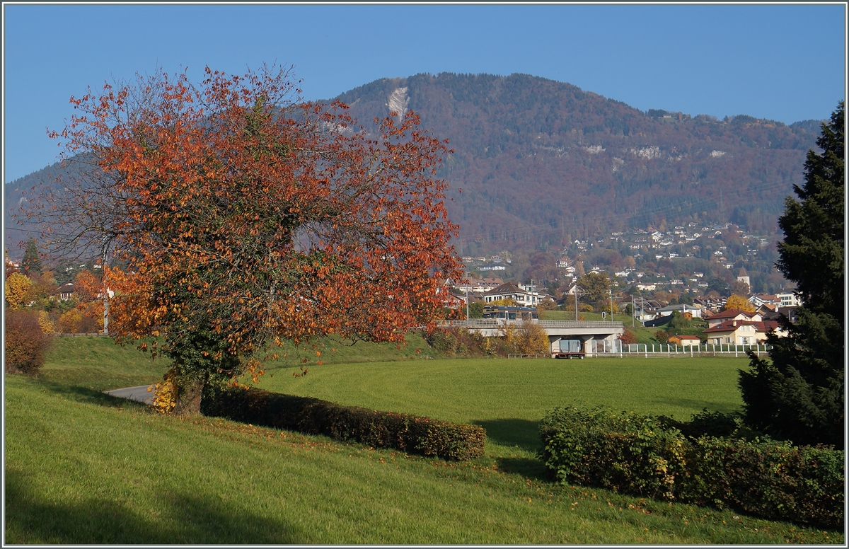 Dank der  Goldenpass-Lackierung ein  Bahnsuchbild ...
Der CEV GTW Be 2/6  Blonay bei Château d'Hauteville. 
2. Nov. 2015