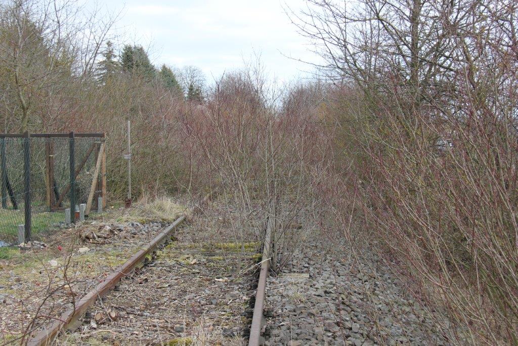 Das alte Finnebahngleis am 23.02.2014 in Golzen. Blick in Richtung Laucha. (Foto: Wolfgang Krolop)