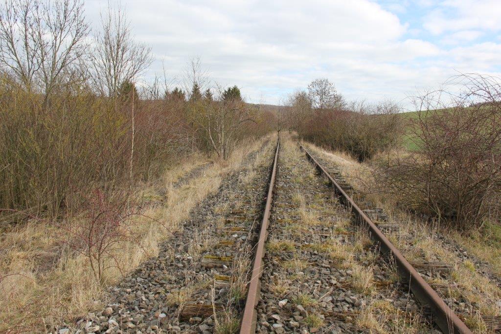 Das alte Finnebahngleis am 23.02.2014 zwischen Golzen und Bad Bibra. (Foto: Wolfgang Krolop)
