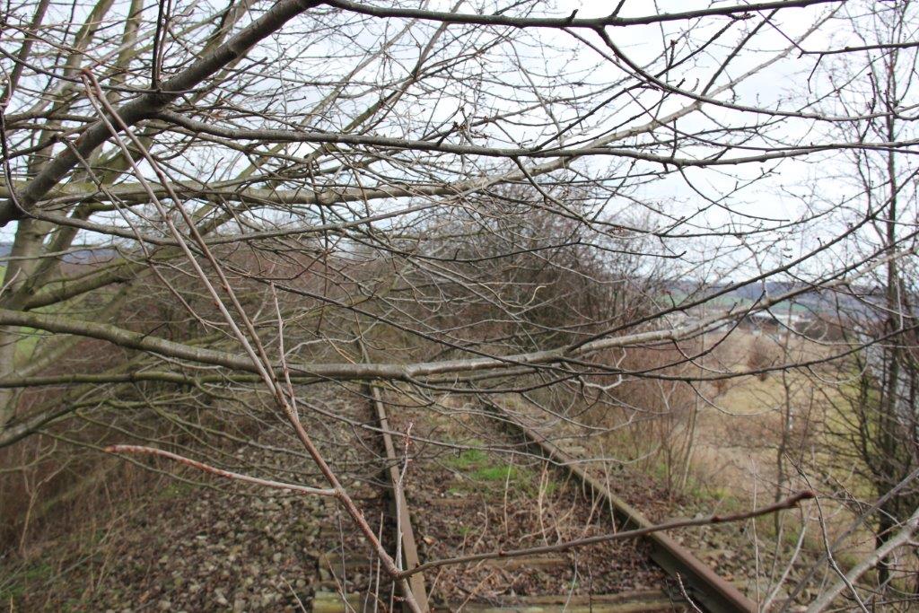 Das alte Finnebahngleis am 23.02.2014 zwischen Laucha und Golzen. (Foto: Wolfgang Krolop)