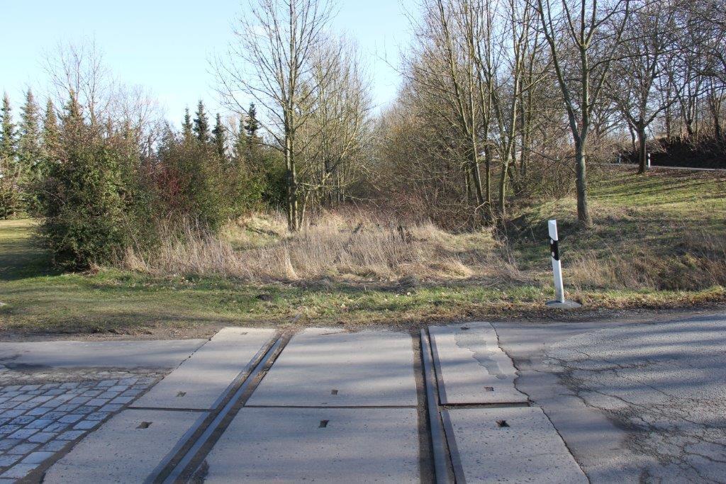 Das Finnebahngleis am 23.02.2014 am Bahn�bergang in Saubach. (Foto: Wolfgang Krolop)