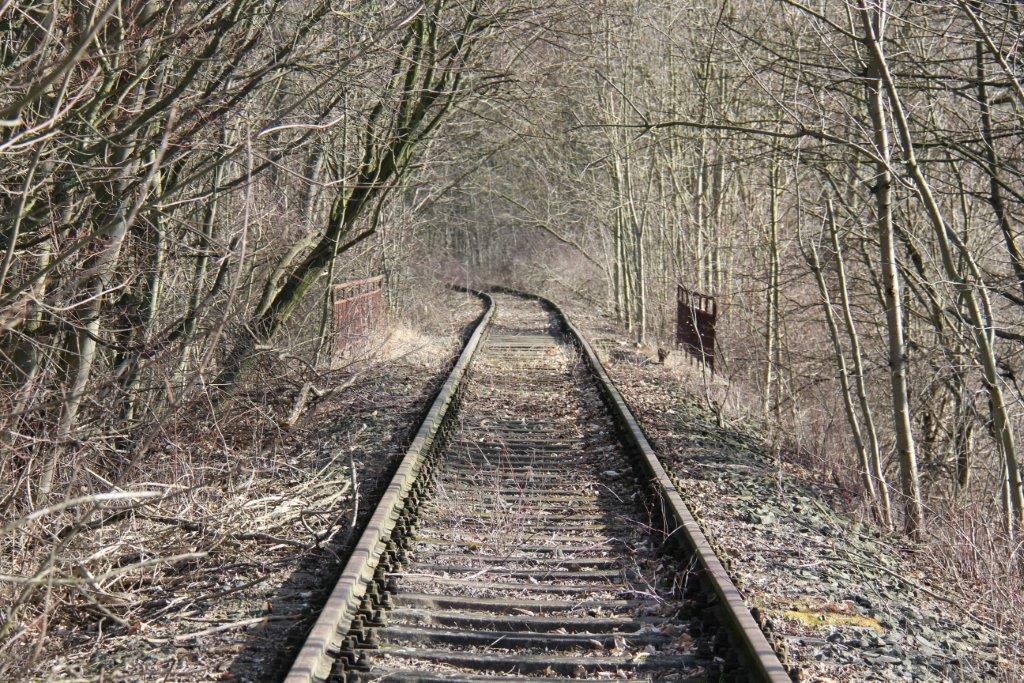 Das Finnebahngleis am 23.02.2014 in Bad Bibra. (Foto: Wolfgang Krolop)