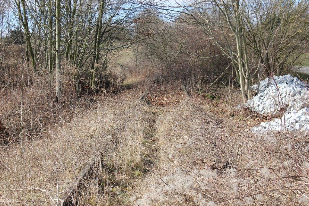 Das zugewachsene Finnebahngleis am 23.02.2014 in Bad Bibra. (Foto: Wolfgang Krolop)