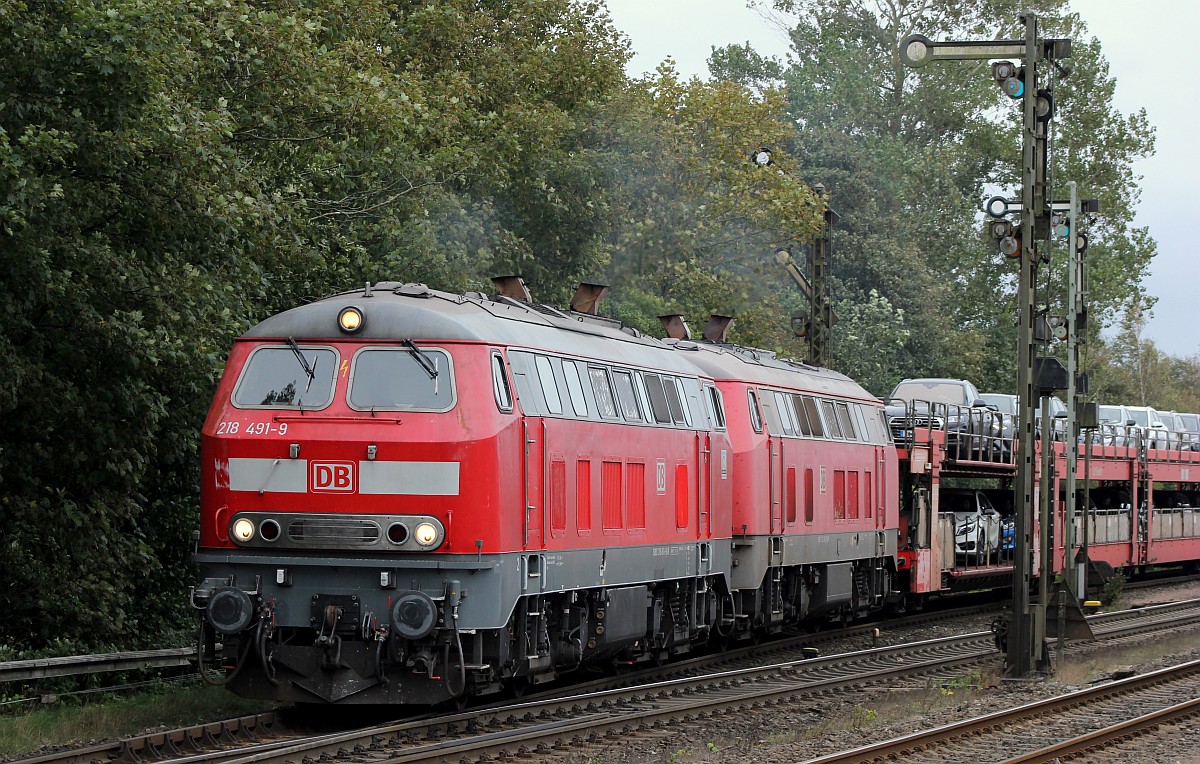 DB 218 491-9 und 369-7 Niebll 23.09.2018