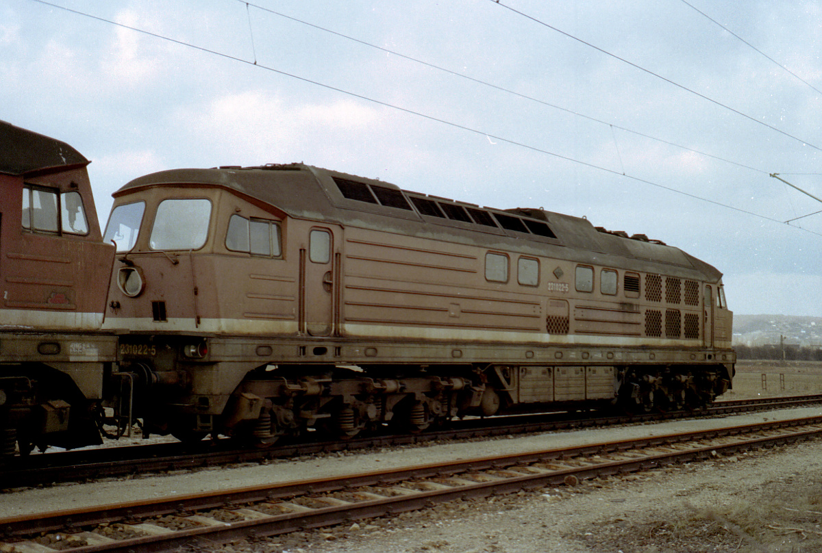 DB 231 022-5 am 06.03.1993 abgestellt am Westkopf in Naumburg Hbf. (Foto: Jörg Berthold)