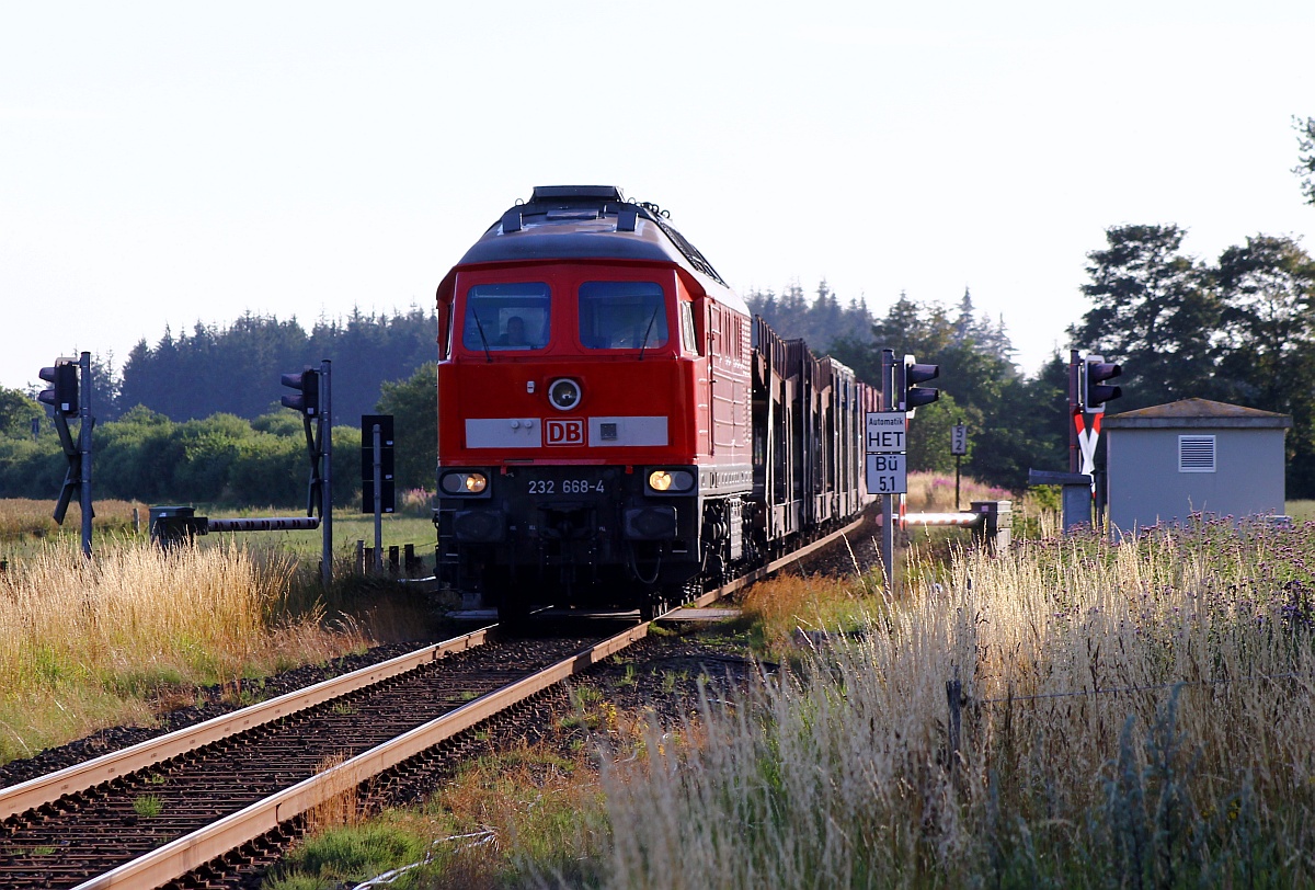 DB 232 668-4 mit dem EZ 47417(Esbjerg-Maschen)festgehalten am Bü Sollbrück III an der KBS 134. Sollbrück 20.07.2015