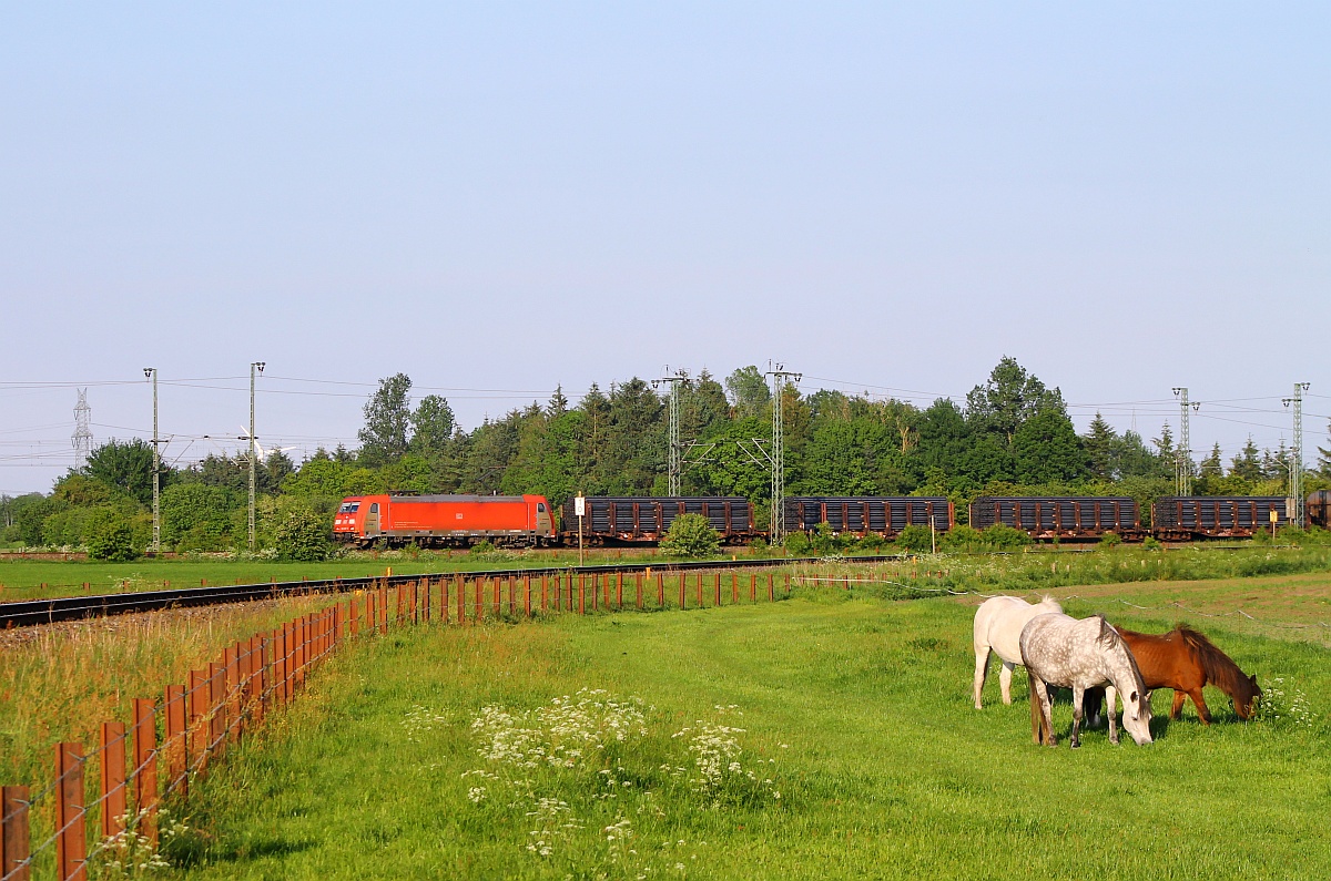 DBS/RSC 0185 337-0 passiert hier mit ihrem Güterzug Jübek-Nord, die Gleise im Vordergrund gehören zur Strecke von und nach Husum, Standort am BÜ Sollbrück I. Jübek 26.05.2014