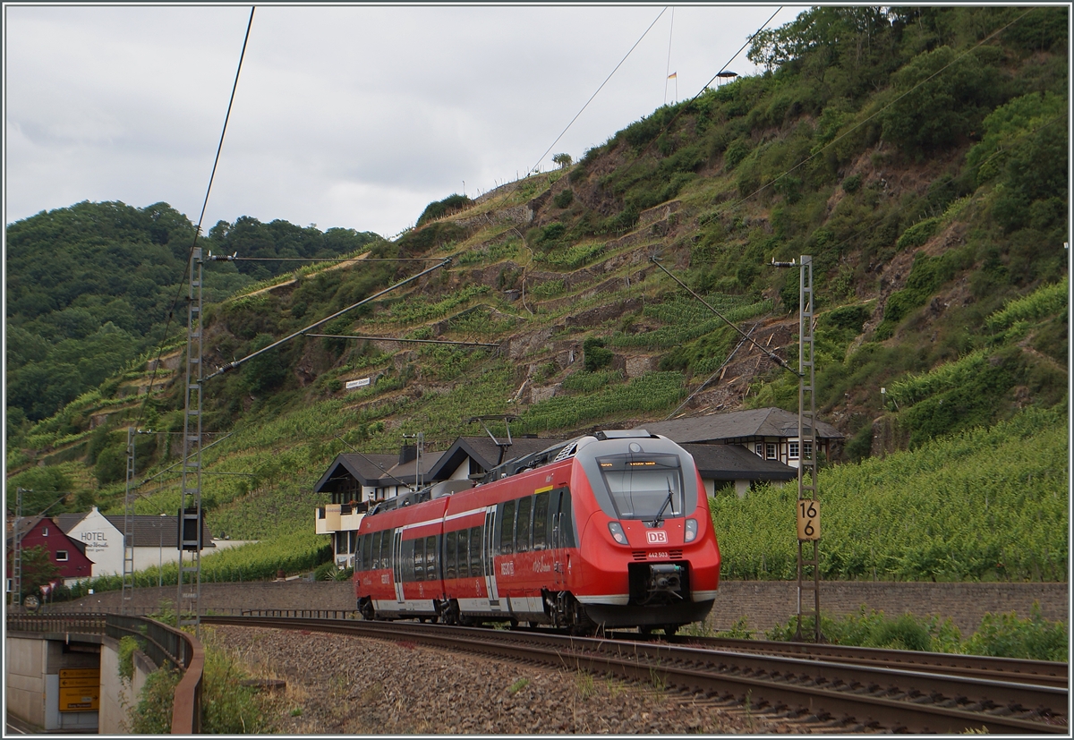 Der 442 503 zwischen Winningen und Kobern Gondorf. 
20. Juni 2014