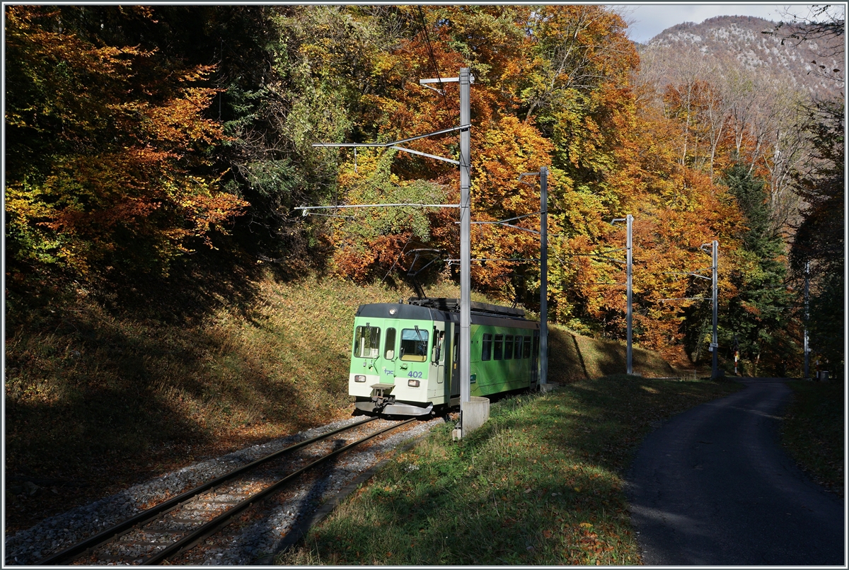 Der ASD BDe 4/4 402 ist im bunten Herbstwoald oberhalb von Aigle unterwegs. 

5. Nov. 2021