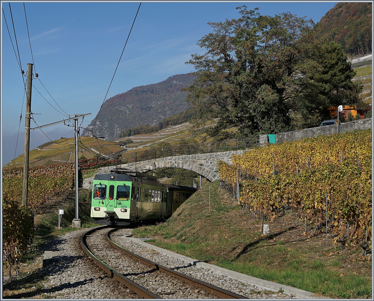 Der ASD BDe 4/4 403 in den Weinbergen von Aigle.

26. Okt. 2018