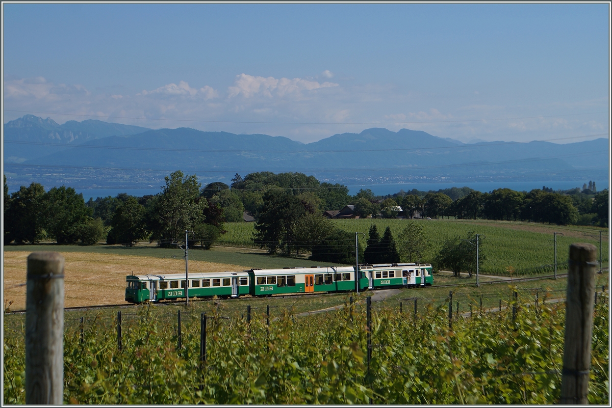 Der BAM Regionalzug 128 zwischen Chigny und Vufflens le Château. 
16. Juni 2014