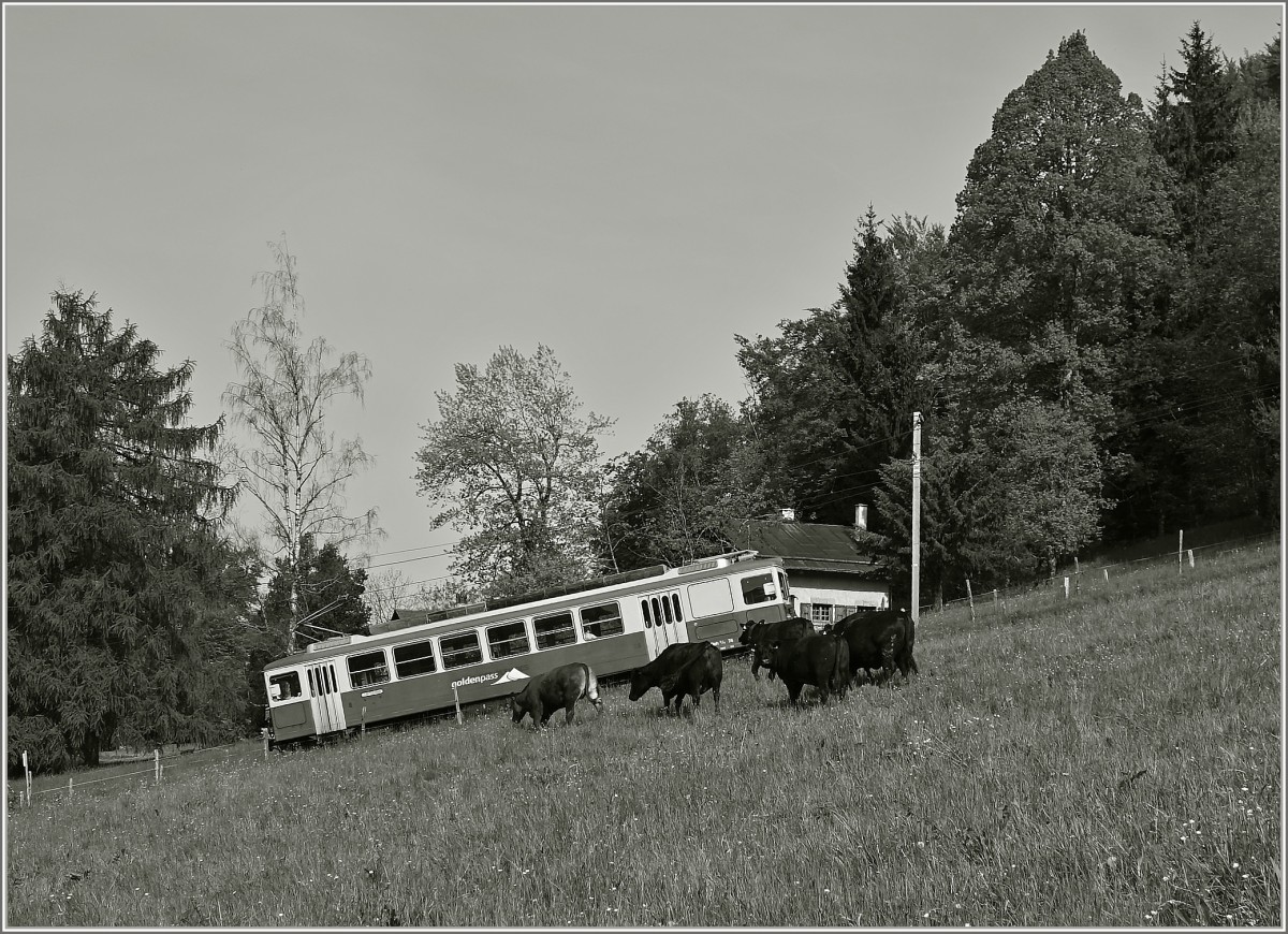 Der BDhe 2/4 74 als Regionalzug 1376 kurz vor Fayaux.
(11.05.2015)