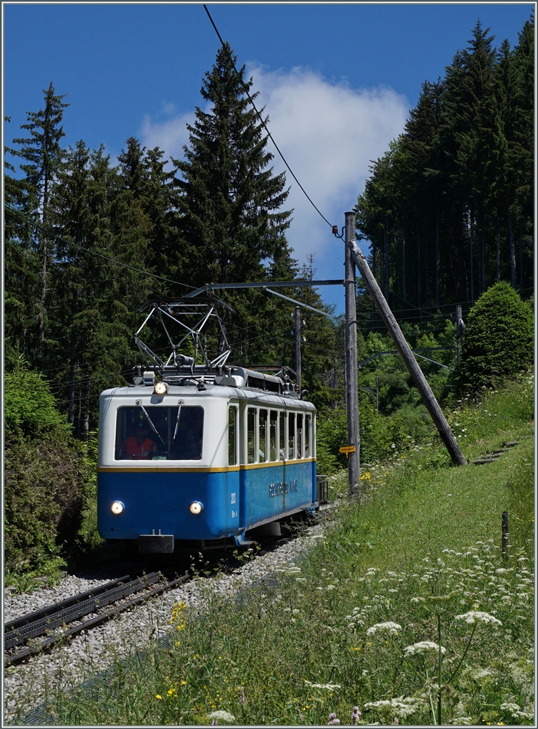 Der Bhe 2/4 203 auf Talfahrt kurz vor Crêt-d'y-Bau.
3. Juli 2016