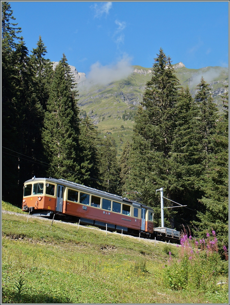 Der BLM Be 4/4 21 kurz vor Winteregg. 
28. August 2014