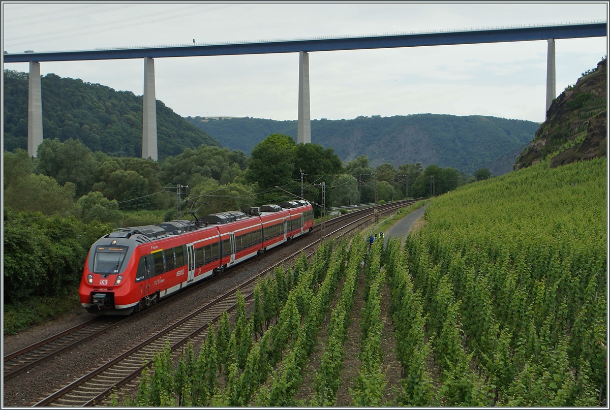 Der DB 442-703 zwischen Kobern Gondrof und Winningen. 
20. Juni 2014