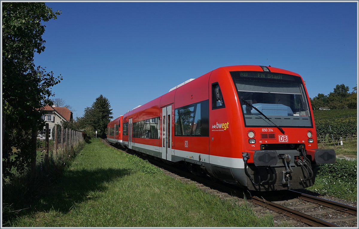 Der DB VT 650 314 und ein weiter als RB Radolfzell - Friedrichshafen bei Birnau. Die VT 650 werden nun auf dieser Strecke durch VT 622 abgelöst, zum Zeitpunkt der Aufnahme waren die ersten Züge schon im Einsatz.

19. Sept. 2019