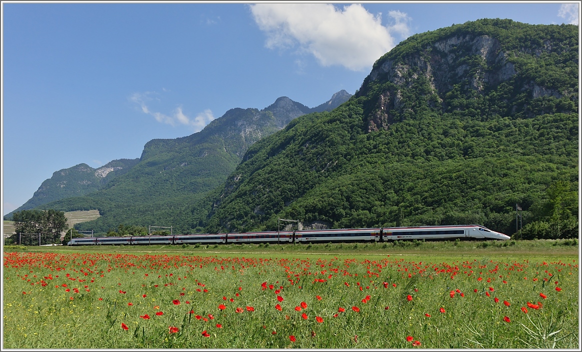 Der EC 32 ist keine Rarität, das Mohnblumenfeld hierzulande dagegen schon. Beides zusammen ergibt dieses Bild.
(27.05.2015)