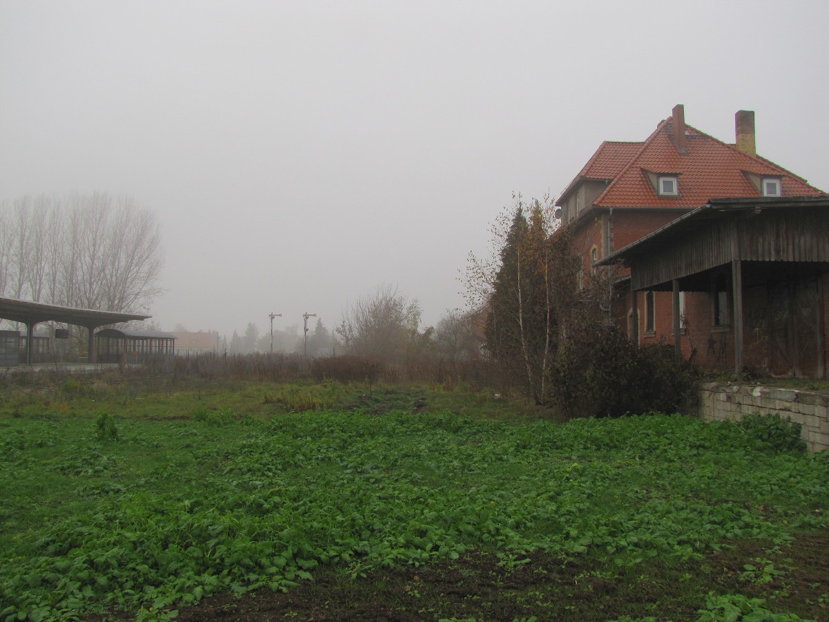 Der ehemalige Bereich der Gleise 1 und 2 am 17.11.2013 in Laucha.