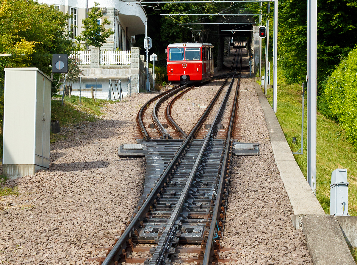 Der elektrischer Zahnradtriebwagen Bhe  1/2 Nr. 1 der Dolderbahn erreicht am 06.06.2015 die Ausweichstelle.

Im Vordergrund sieht man sehr gut die Schwenkweiche,  Schleppweiche oder auch Schiebeweichen (Federweiche) mit dem Zahnstangensystem „von Roll“. Die von der Firma Von Roll (heute Tensol) entwickelte Zahnstange ist nur dem Namen nach eine Lamellenzahnstange, nämlich eine einlamellige. Sie hat dieselbe Zahnteilung (100 mm) wie die Riggenbach'sche und die Strub'sche Zahnstange (aus welcher sie auch entwickelt wurde). Von letzterer unterscheidet sie sich nur in der Grundform, einfaches Breitflach-Profil anstatt einer Keilkopfschiene ähnliches Profil. Die von Roll Zahnstange kommt in erster Linie bei Neubauten sowie als preisgünstiger Ersatz alter Zahnstangen nach den Systemen Riggenbach oder Strub zur Anwendung. Sie ist zwar dicker (30–80 mm, je nach Zahndruck) als eine der Lamellen nach Abt, doch ihre Biegsamkeit ist ausreichend, um flexibler als die Originale nach Riggenbach oder Strub anwendbar zu sein. Sie kann auch durchgehend verschweißt werden. So sind auch diese Schwenkweichen einfach machbar.

Bei der Schiebeweiche wird ein Teilstück der gesamte Fahrbahn (ganze Gleises mit Zahnstange) verschwenkt bzw. verbogen, es gibt beim herkömmlichen Zweischienengleis keine durchlaufenden Außenschienen. Die Weichenzungen sind hier gerade und an der Weichenspitze beweglich gelagert, die Stellvorrichtung liegt am inneren Ende der Weichenzunge und verschiebt die Schienen und Zahnstange auf den geraden oder den abzweigenden Strang. Anstelle eines Herzstückes haben Schleppweichen, die von Fahrzeugen mit Spurkranzrädern befahren werden, ein drehbares Schienenstück, welches in den zu befahrenden Schienenstrang gedreht wird.

Die ersten Eisenbahnweichen waren Schleppweichen. Da sie insbesondere bei höheren Geschwindigkeiten nicht betriebssicher waren, wurden sie bei den Eisenbahnen bald durch andere Bauformen ersetzt. Ihr Einsatzgebiet sind heute meist noch Bergbahnen, die aus Sicherheitsgründen über doppelte Spurkränze verfügen oder mit Zangenbremsen ausgestattet sind. Ein bekanntes Beispiel dafür sind die Rigi-Bahnen.

Seit 1999 setzen die Rigi-Bahnen neu entwickelte, als Federweichen bezeichnete Zahnstangenweichen ein, in welchen das Gleis von der einen Endlage in die andere entlang einer definierten Kurve gebogen wird. Die Konstruktion hat weniger bewegliche Teile als eine übliche Zahnstangenweiche und benötigt keine Weichenheizung.