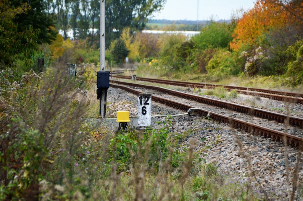 Der Km-Stein 12,6 am 21.10.2020 in Laucha. (Foto: Thomas Fritzsche)