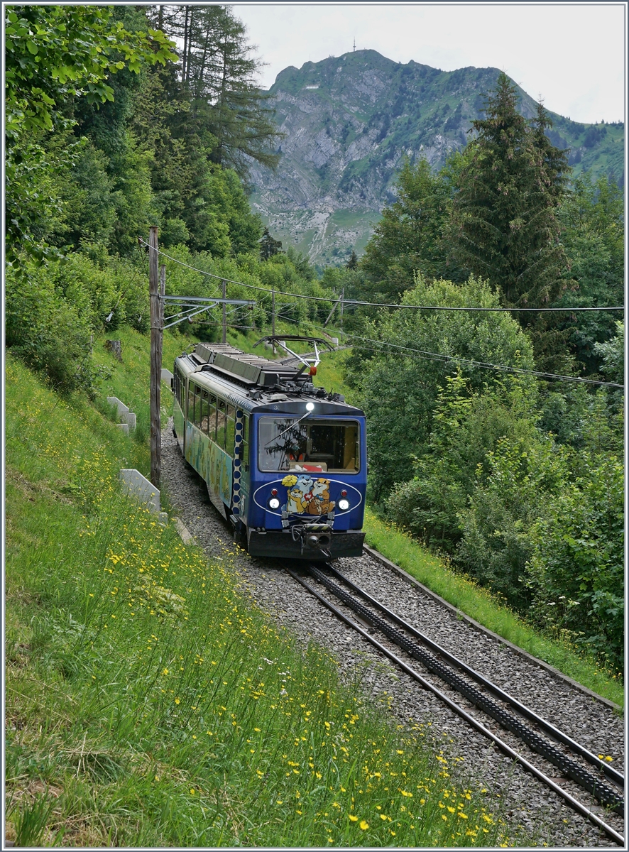 Der Rochers de Naye Beh 4/8 302 auf Talfahrt bei Les Hauts de Caux. 

24. Juli 2020