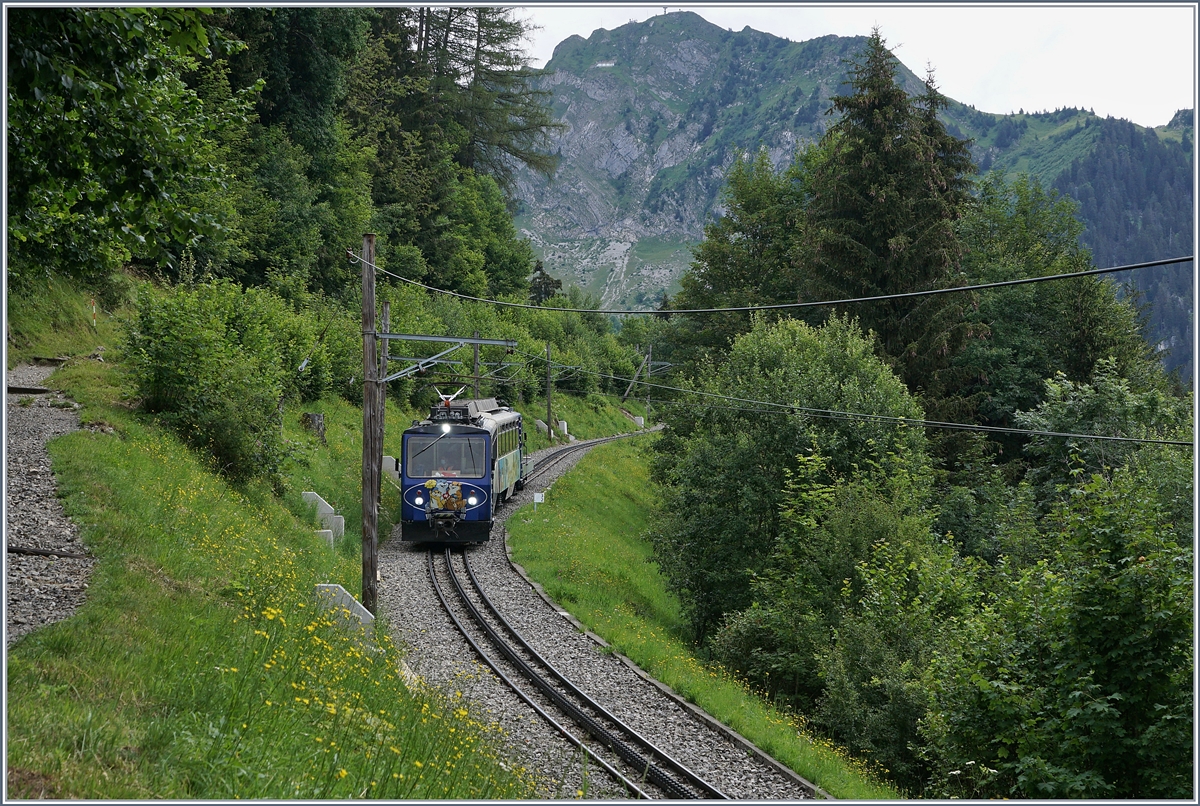 Der Rochers de Naye Bhe 4/8 302 ist kurz vor Haut de Caux auf der Tal-Fahrt.

24. Juli 2020