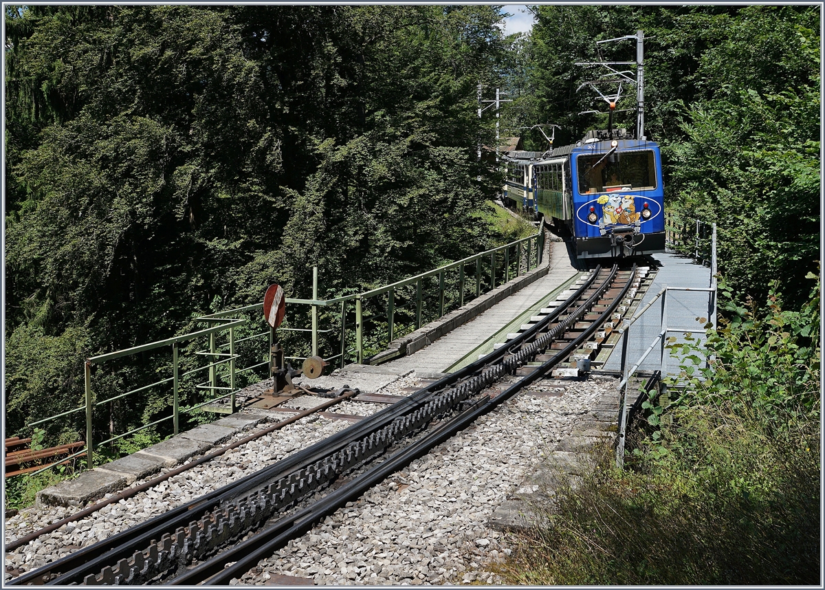 Der Ropchers de Naye Bhe 4/8 302 und ein weiterer erreichen Le Tremblex.
7. August 2016