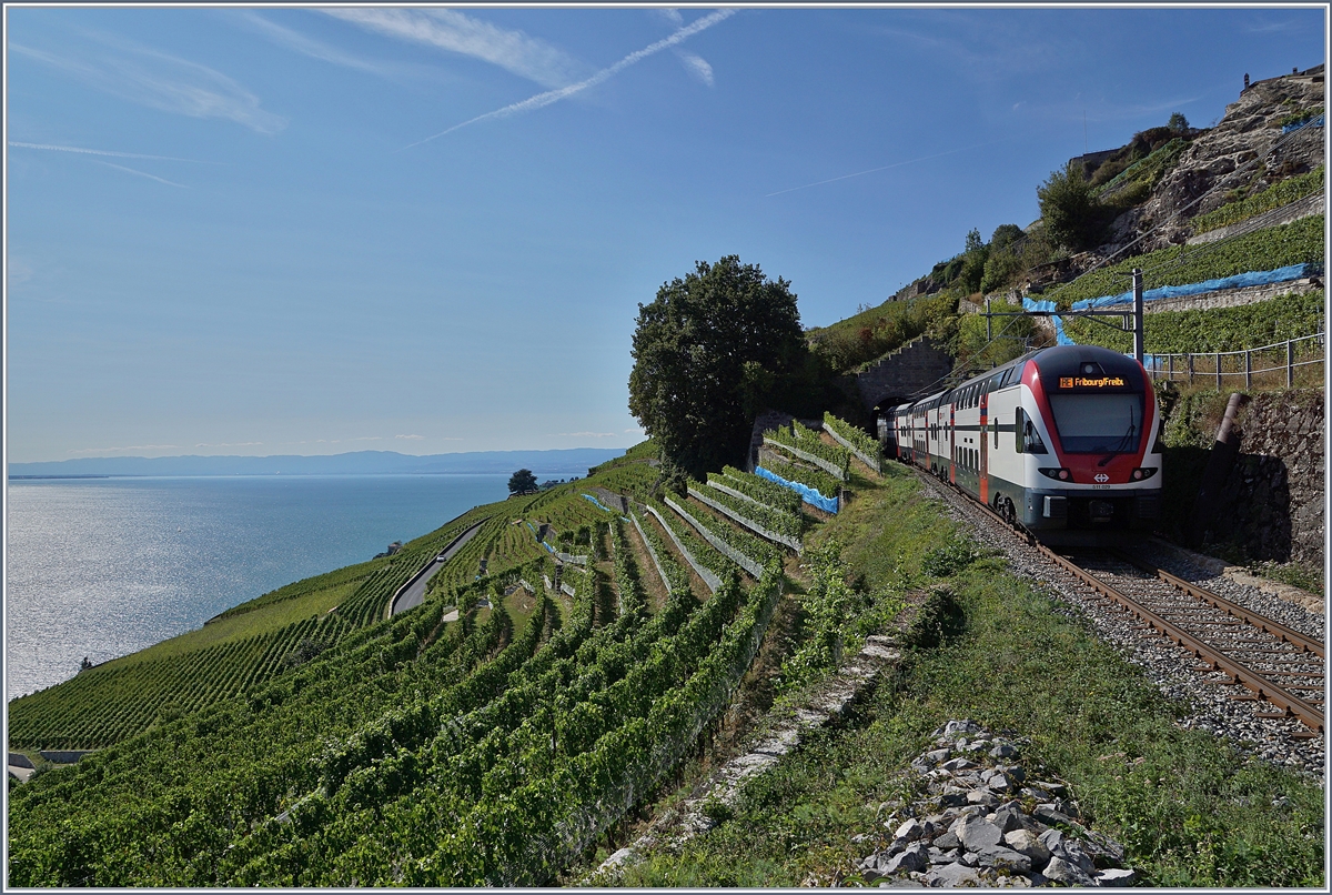 Der SBB RABe 511 112 auf der Train des Vignes Strecke zwischen Vevey und Chexbres Villages (SBB Sommerfahrplan). 

28. Aug. 2018 