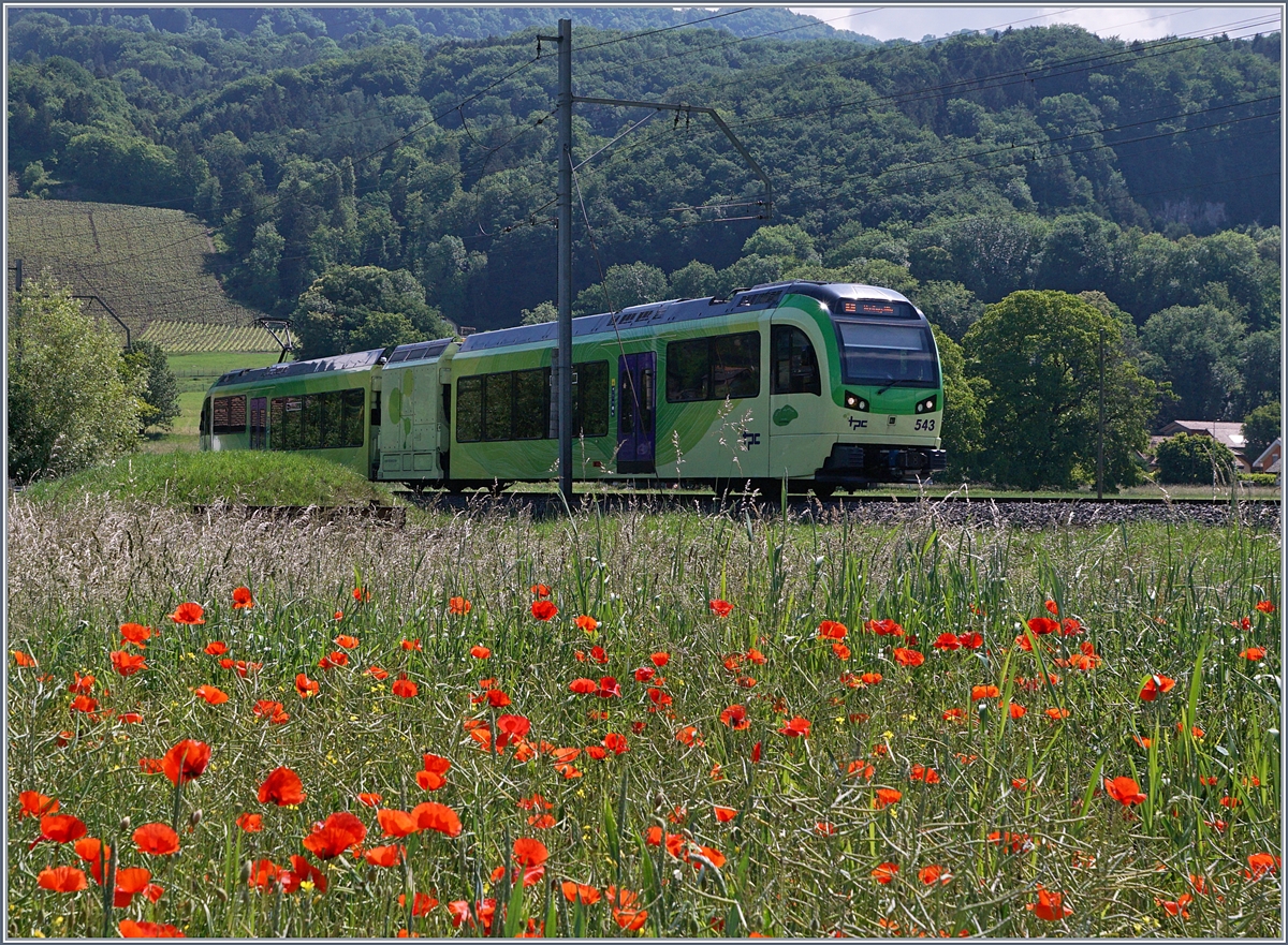 Der TPC Beh 2/6 543 ist bei Villy in Richtung Monthey unterwegs. 

24. Mai 2018