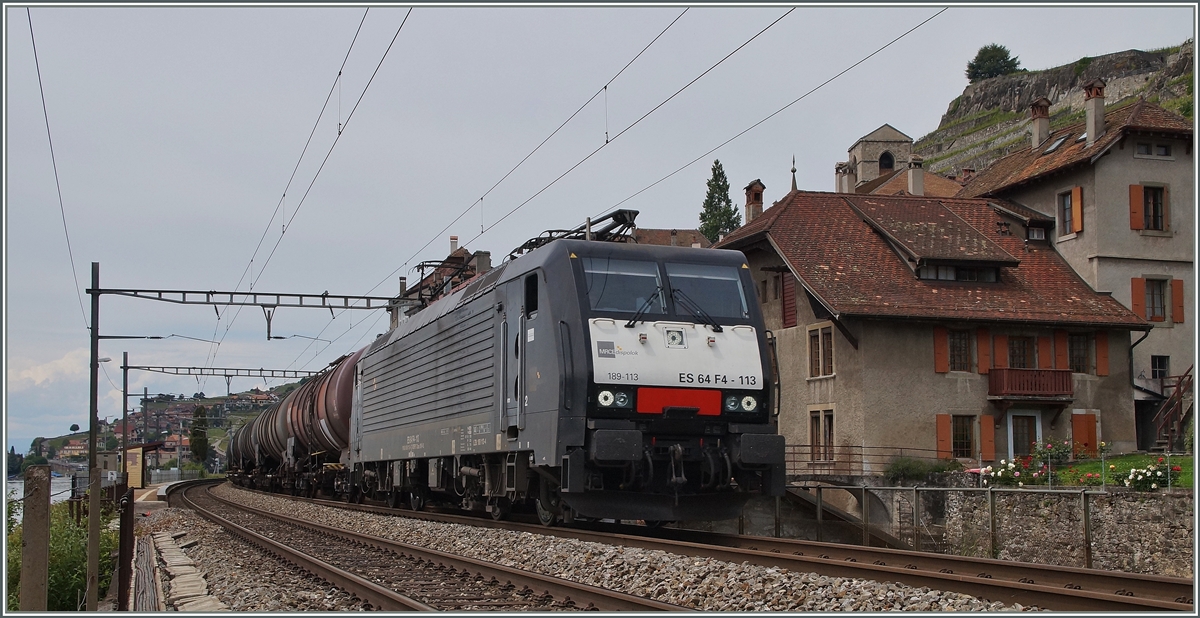 Der Weg des geringsten Widerstands von Nord nach Süd führt über St-Saphorin! Dieser Philosophie folgt zumindest dieser Bio-Öl Zug von den Niederlanden nach Italien via Basel - Olten - Lausanne - Domodossola. Die führende ES 64 F4 113 befördert den Zug von Holland bis Domosossola und verbringt dann ein paar Tage in Brig. St-Saphorin, den 25. Mai 2014