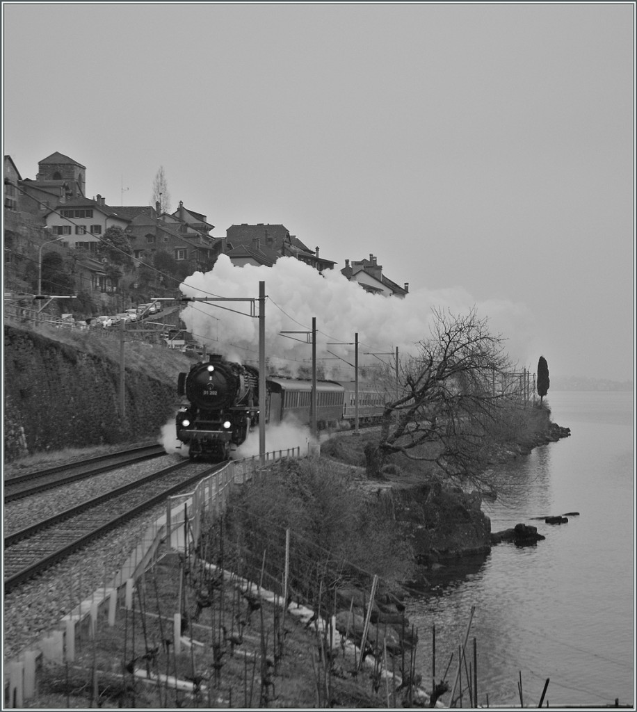 Die 01 202 dampft mit ihrem  Alpine Steam Express  eindrcklich am Genfersee entlang. 
Bei St-Saphorin, den 19. Jan. 2014