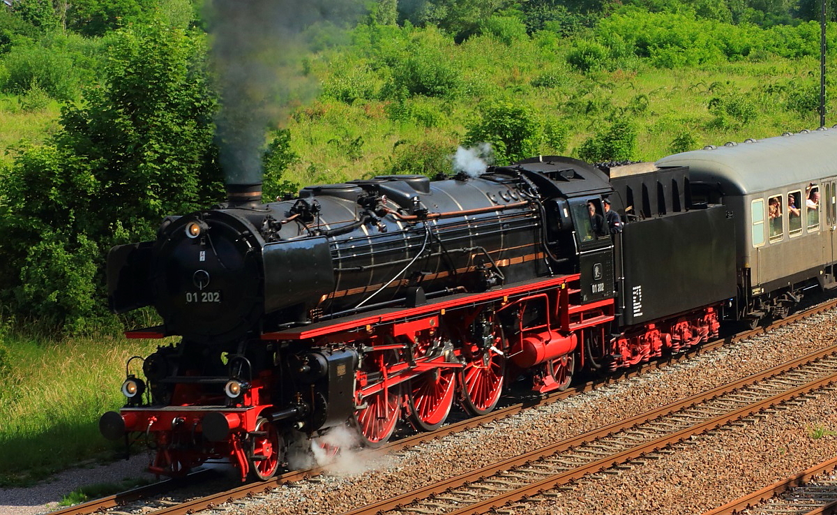 Die 01 202 des Vereins Pacific 01 202 ist ab und zu auch einmal in ihrer alten Heimat im Einsatz, so wie hier beim Dampfspektakel zum Jubilum  20 Jahre Rheinland-Pfalz-Takt  und  25 Jahre Verkehrsverbund Rhein-Neckar . Am 31.05.2014 hat sie gerade den Bahnhof Landau in Richtung Neustadt/Weinstrae verlassen.