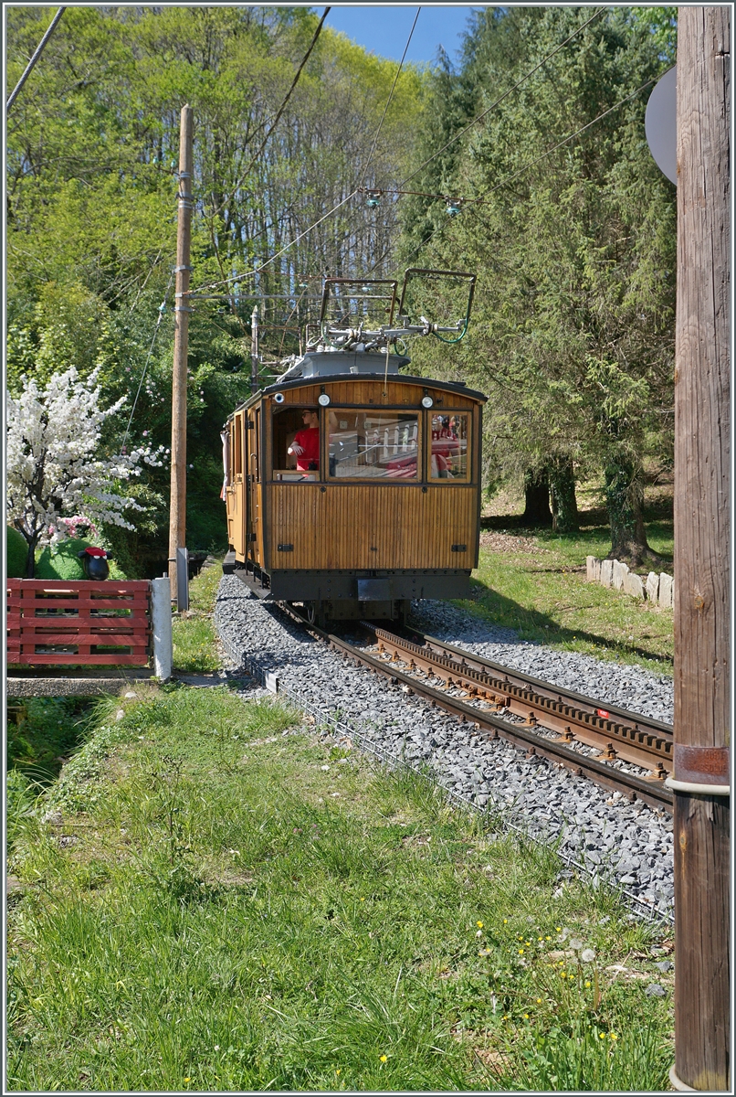 Die 1914 erbaute He 2/2 der Chemin de fer de la Rhune erreicht mit ihrem Zug von der Gipfelstation La Rhune (905 müM) kommend, in Kürze den Zielbahnhof Col de Saint-Ignace auf 198 müM. 

12. April 2024