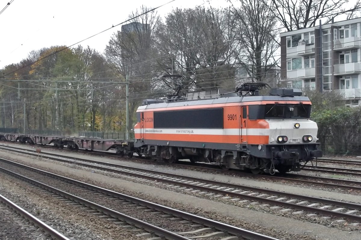 Die 1.Edition von der Rzepinshuttle wurde am 12 November 2015 von LOCON 9901 gezogen in Tilburg-Universiteit. Spter Ubernahm Captrain dieser KLV, stornierte dieser Verbindung wegen fehlender Bezahlung von Polnischer Seite in 2017. Ab 2018 wurde der Rzepinshuttle reaktiviert mit der 3.Bahnunternehmen; LTE. 