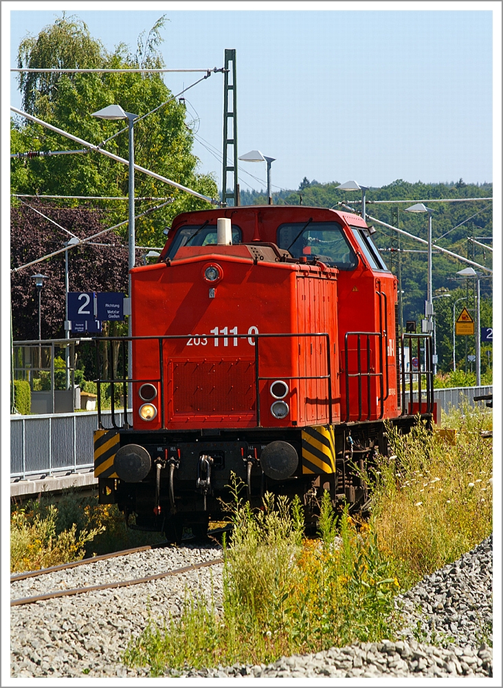 
Die 203 111-0 ist am 20.07.2013 in Ehringshausen (Lahn-Dill-Kreis) abgestellt, ob die Eisenbahnbetriebsgesellschaft Mittelrhein (EBM Cargo, Gummersbach) hier Mieter oder mittlerweile Eigentmer ist, ist mir nicht ganz klar, denn sie trgt hier die NVR-Nummer 92 80 1203 111-0 D-ALS  (ALS - ALSTOM Lokomotiven Service GmbH, Stendal).

Die V 100.1 wurde 1974 bei LEW (VEB Lokomotivbau Elektrotechnische Werke  Hans Beimler , Hennigsdorf) unter der Fabriknummer 14078 gebaut und als 110 651-7 an die DR ausgeliefert. 1985 erfolgte der Umbau in 112 651-5, die Umzeichnung in 202 651-6 erfolgte 1992, die Ausmusterung bei der DB erfolgte 2000. Im Jahre 2002 erfolgte durch ALSTOM Lokomotiven Service GmbH, Stendal der Umbau gem Umbaukonzept  BR 203.1  in die heutige 203 111-0, die Inbetriebnahme war im Jahr 2005. 

Die EBA-Nummer ist EBA 01C23K 111.
