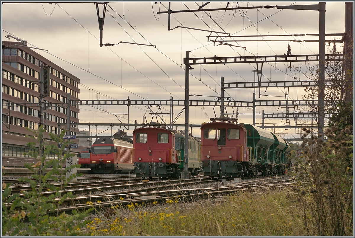 Die beiden BAM MBC Te 2/2 155 und 147 sind in Morges mit dem Manver fr die Kieszge Apples - Gland und Gland - Apples beschftigt. Im Hintergrund ist eine SBB Re 460 zu erkennen.

18. Okt. 2021 