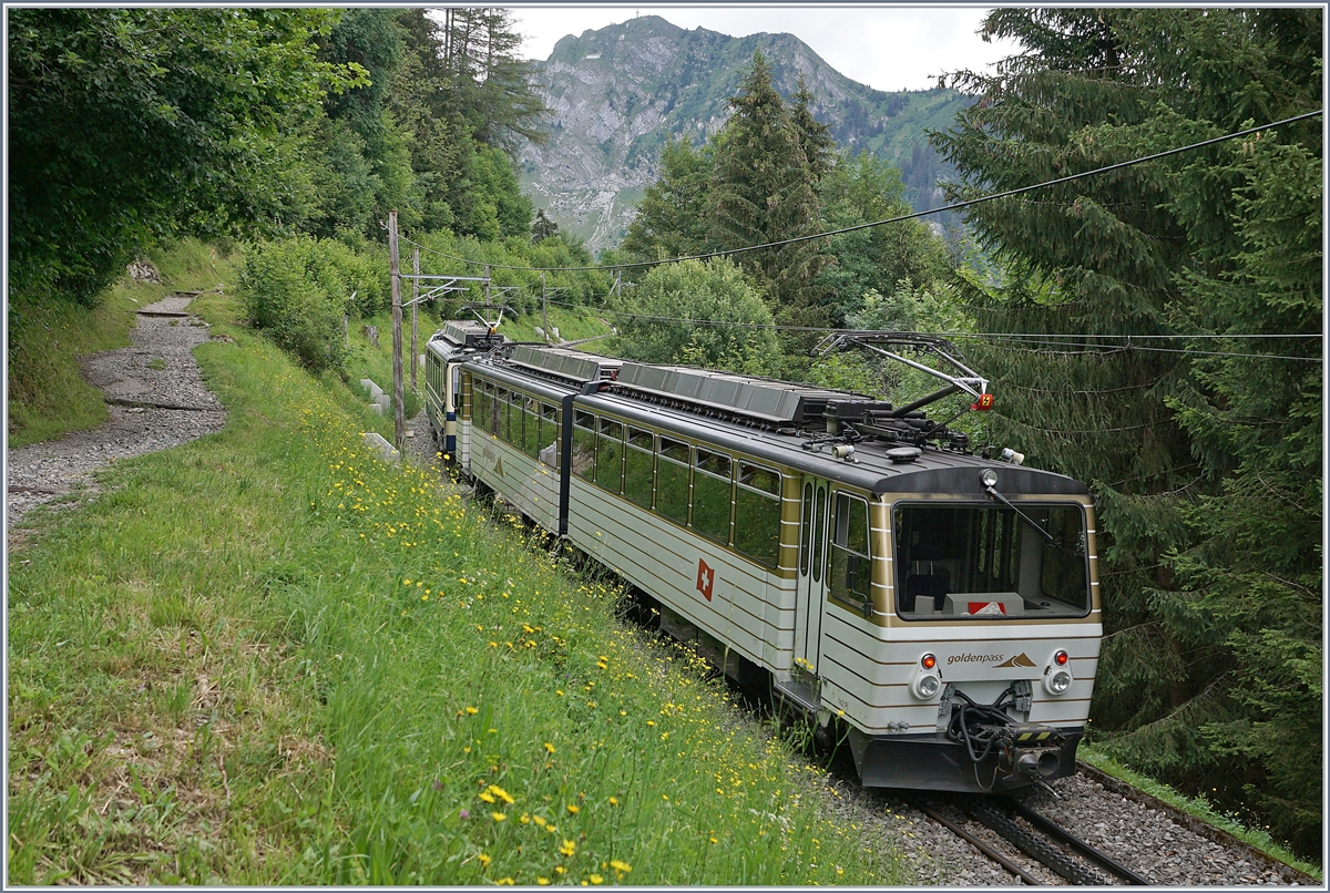 Die beiden Bhe 4/8 304 und 305 auf der Fahrt zum Rochers de Naye kurz nach Haut de Caux.

24. Juli 2020