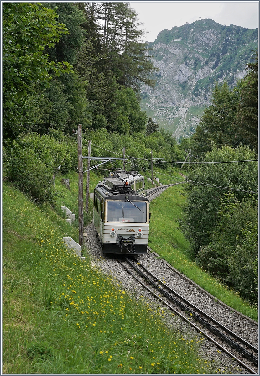 Die beiden  Rochers de Naye Beh 4/8 304 und 305 auf Bergfahrt bie Les Hauts de Caux. 

24. Juli 2020