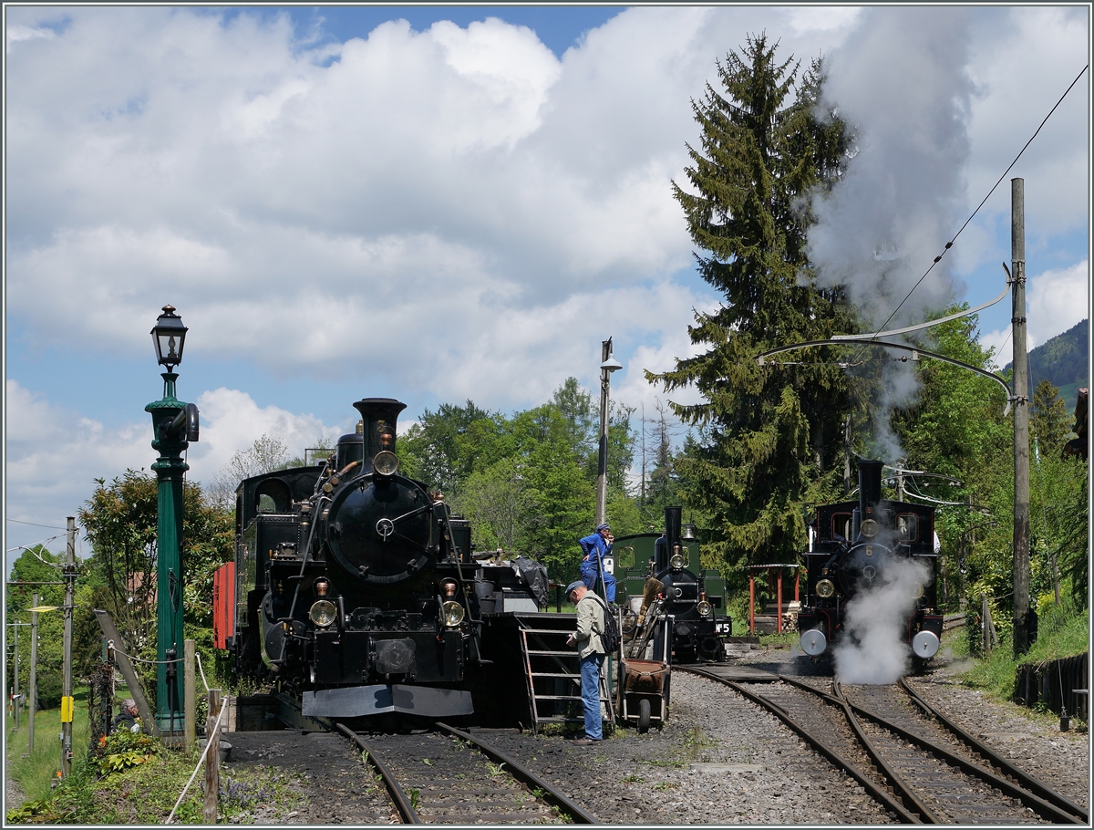 Die BFD HG 3/4 N° 3 und im Hintergrund die G 3/3 N° 5 der Blonay Cahmby Bahn in Chaulin. 

15.05.2016