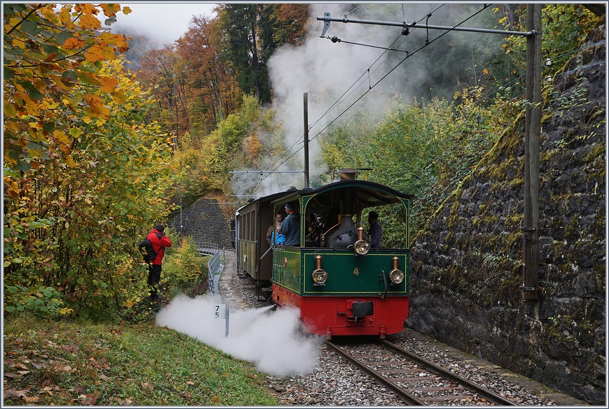 Die Blonay-Chamby G  2/2  Rimini  und eine weitere Dampflok damfen durch die Baye de Clarens Schlucht in Richtung Blonay. 

28. Okt. 2018