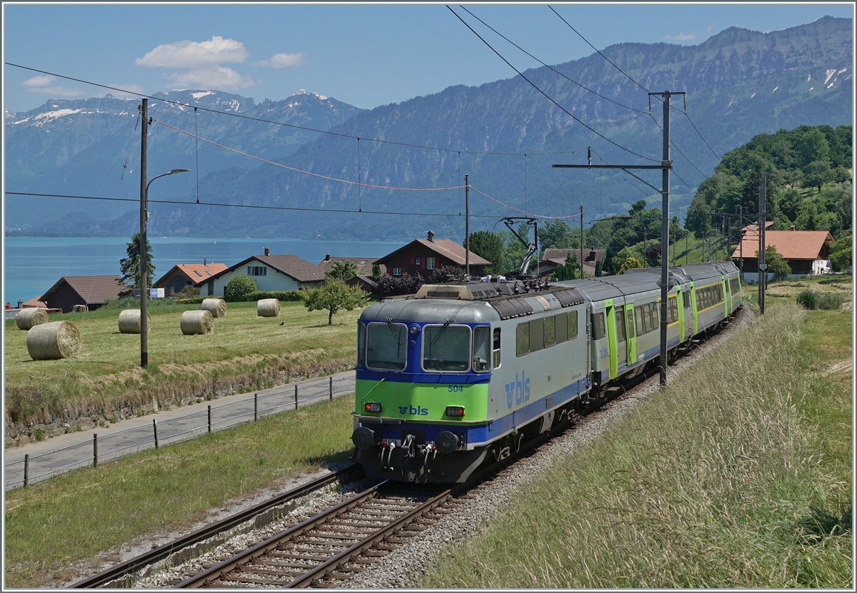 Die BLS Re 4/4 II 504 ist bei Faulensee mit eine EW III RE auf dem Weg nach Interlaken. 

14.06.2021