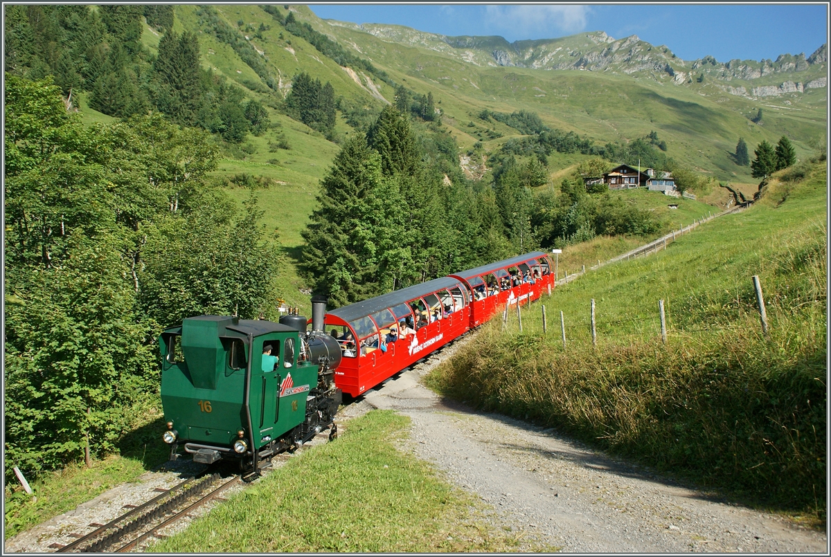 Die BRB H 2/3 16 kurz nach der Planalp.
30. Aug. 2013