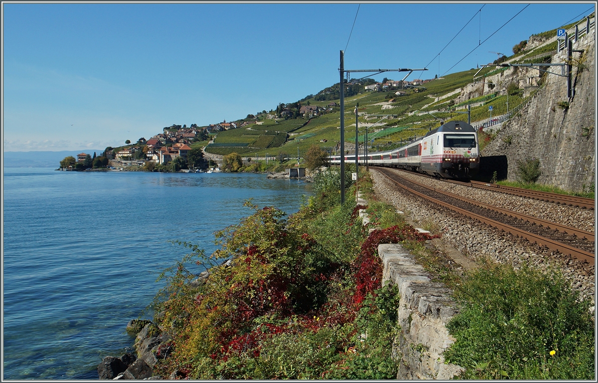 Die  coop  Re 460 083-9 mit einem IR zwischen Rivaz und St-Saphorin.
4. Okt. 2015 