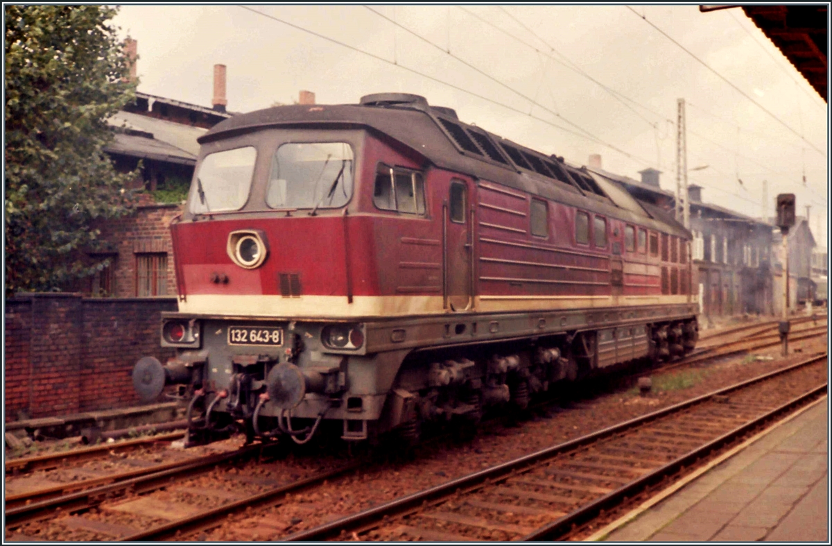 Die DR 132 643-8 rangiert in Schwerin (sie wird einen D-Zug übernehmen. 

Analogbild vom Sept. 1990