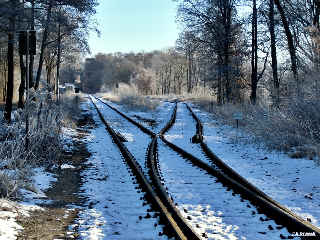 die erste weiche vom glinder bahngelände:links das gleis zum bahngebäude,rechst das wendegleis,wo züge reinfahren,um sie später richtung koops zu schieben,glinde 16.01.17