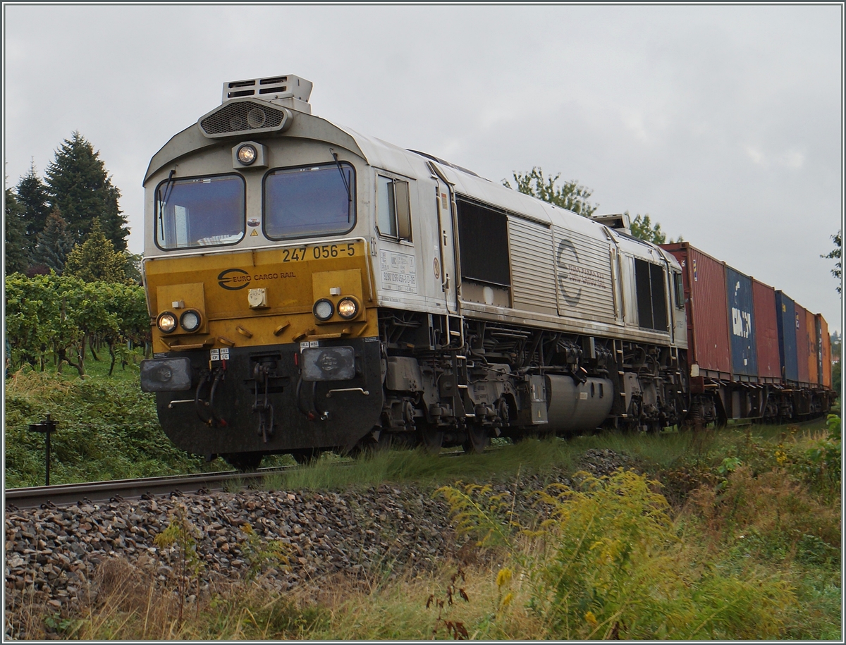 Die Euro Cargo Rail 247 056-5 ist zwischen Wasserburg und Nonnenhorn auf der Bodenseegürtelbahn Richtung Friedrichhafen unterwegs.
18. Sept. 2015