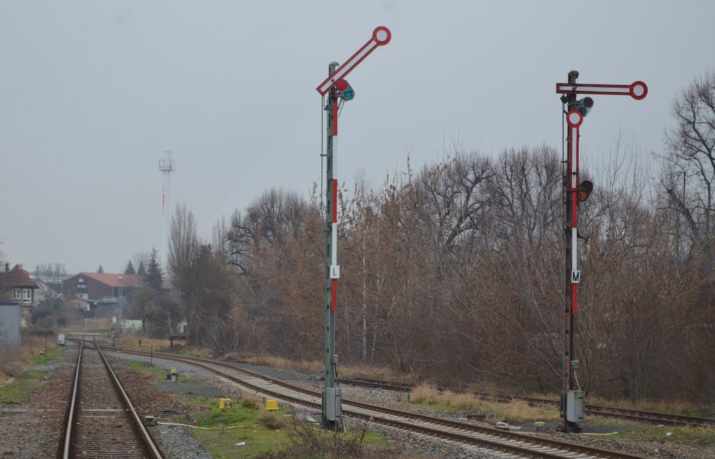 Die Formsignale in Laucha am 03.01.2016. (Foto: EC Vindobona)