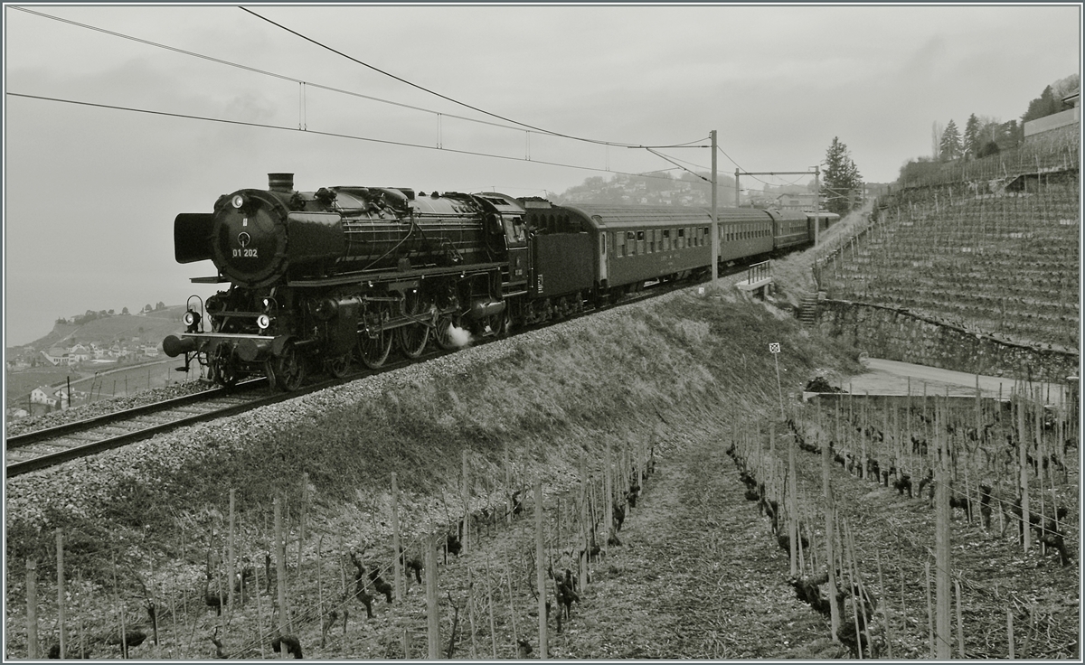 Die herrliche 01 202 im Lavaux, kurz nach Chexbres auf der Fahr Richtung Vevey. 
18. Jan. 2014